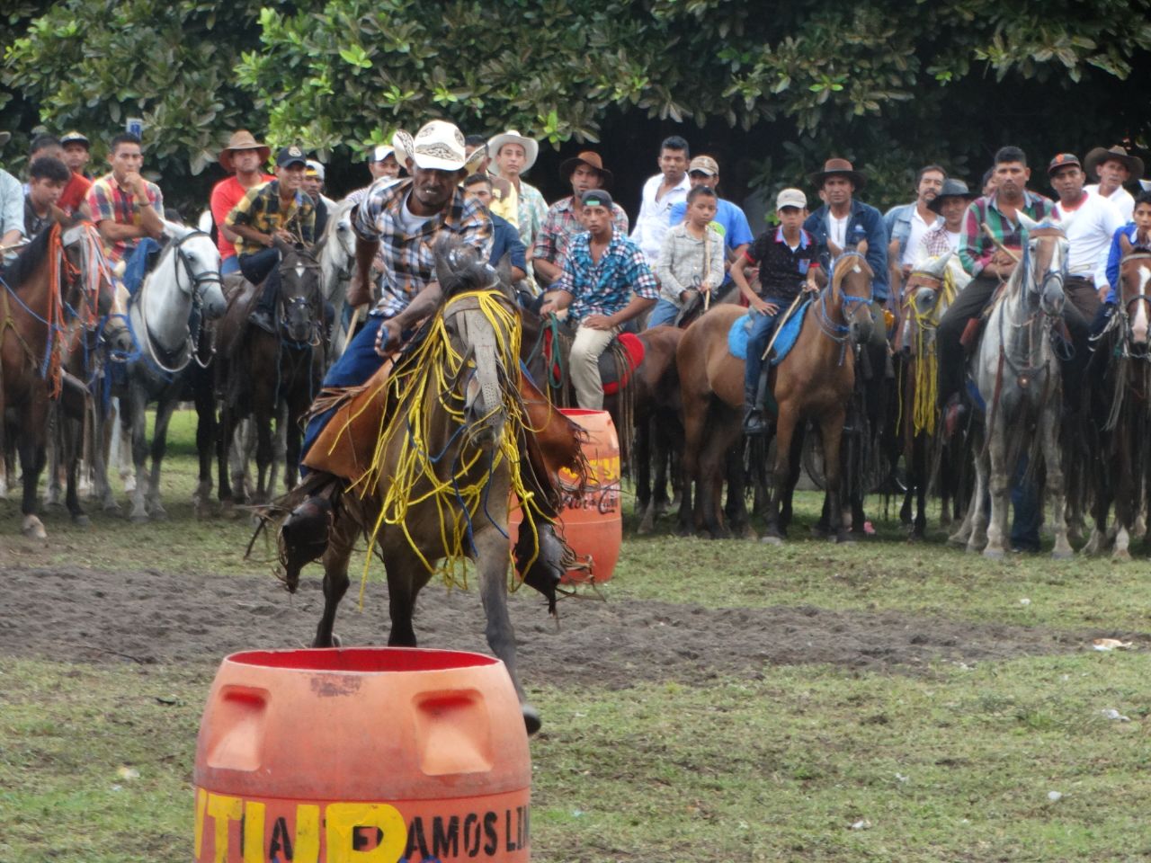 caballos